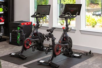 Oversized fitness club with peloton bikes, custom functional fitness escape rack, cardio equipment, and free weights